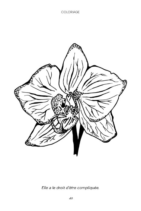 Coloriage d'Un été à s'émerveiller